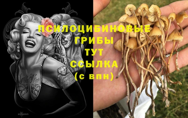 spice Горнозаводск