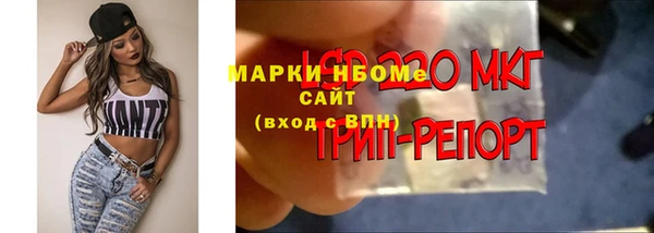 спиды Туринск