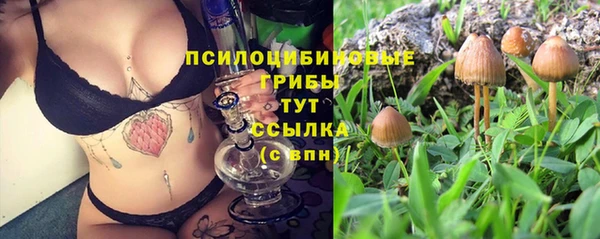 ПСИЛОЦИБИНОВЫЕ ГРИБЫ Гусев