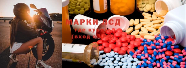 ПСИЛОЦИБИНОВЫЕ ГРИБЫ Гусев