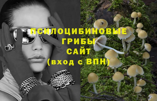 альфа пвп Горно-Алтайск