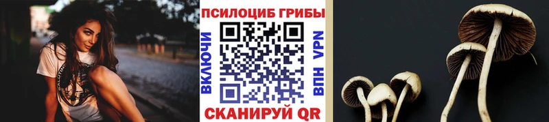 где можно купить наркотик  Печоры  Псилоцибиновые грибы GOLDEN TEACHER 